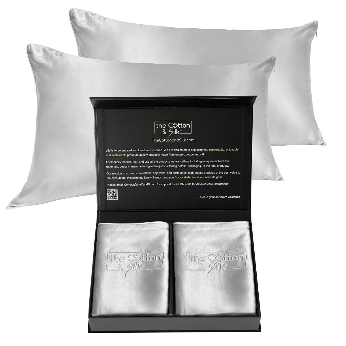 Queen/Standard Silver Silk Pillowcase Set of 2